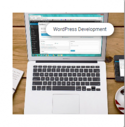 Word Press Development