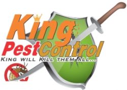 kingpest controlpk logo